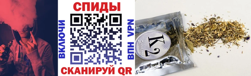 что такое   маркетплейс Telegram  БУТИРАТ BDO  Ставрополь 